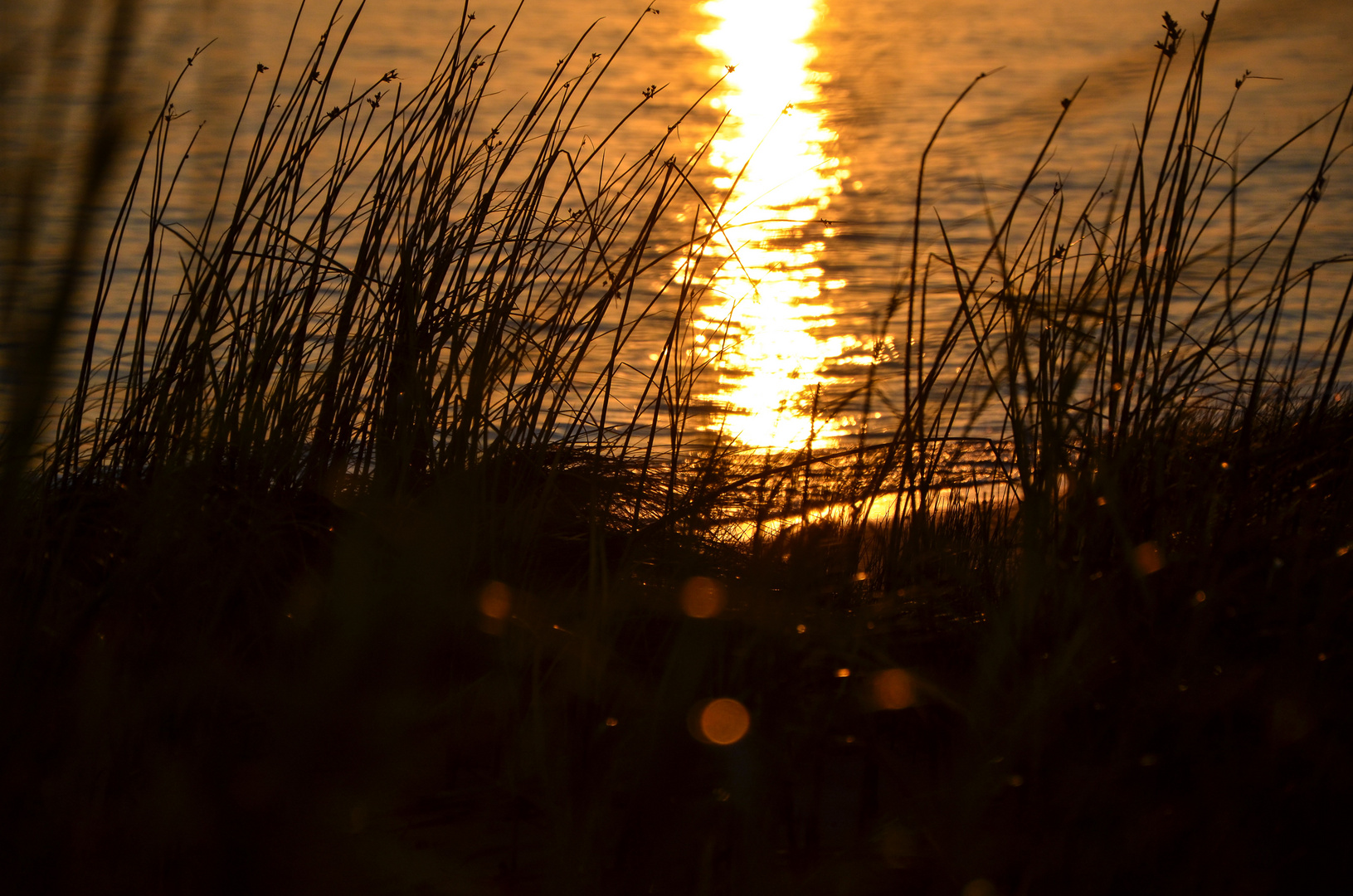 am Elbstrand