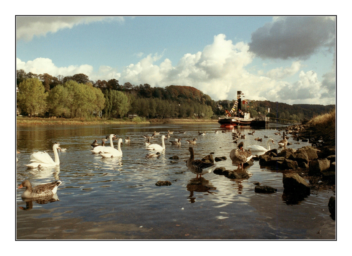 Am Elbufer bei Pirna