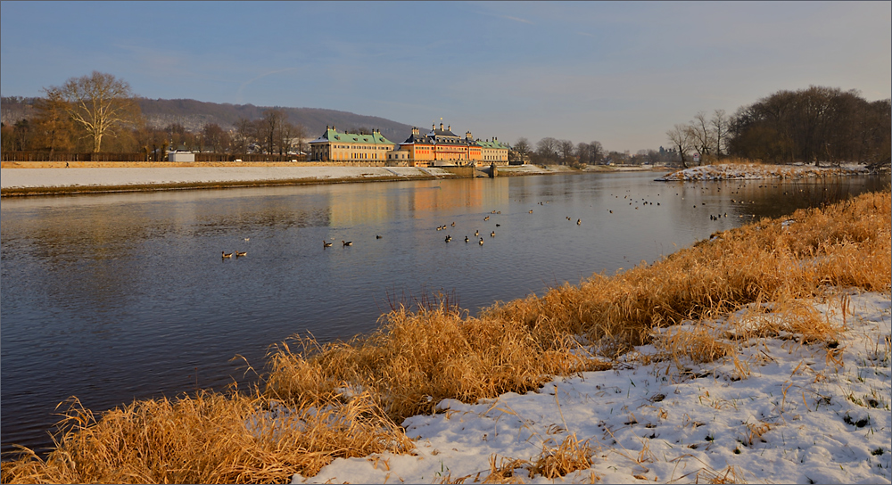 Am Elbufer in Dresden ...,