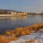 Am Elbufer in Dresden ...,