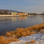 Am Elbufer in Dresden ...,