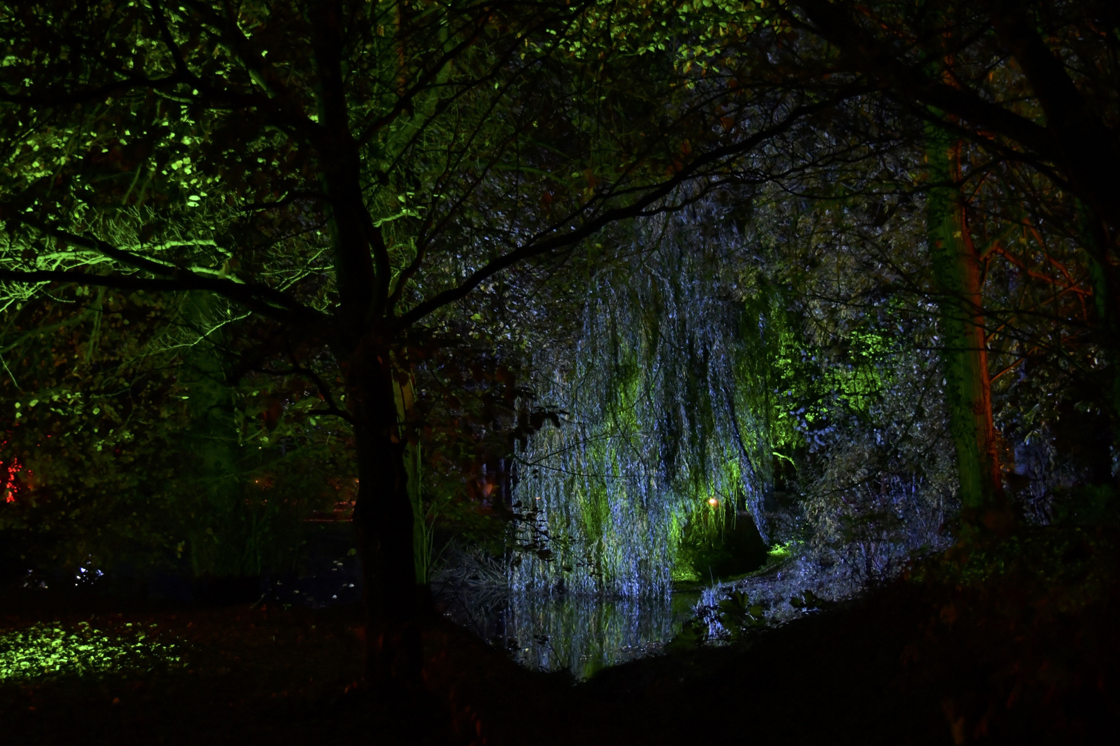 Am Elfenteich