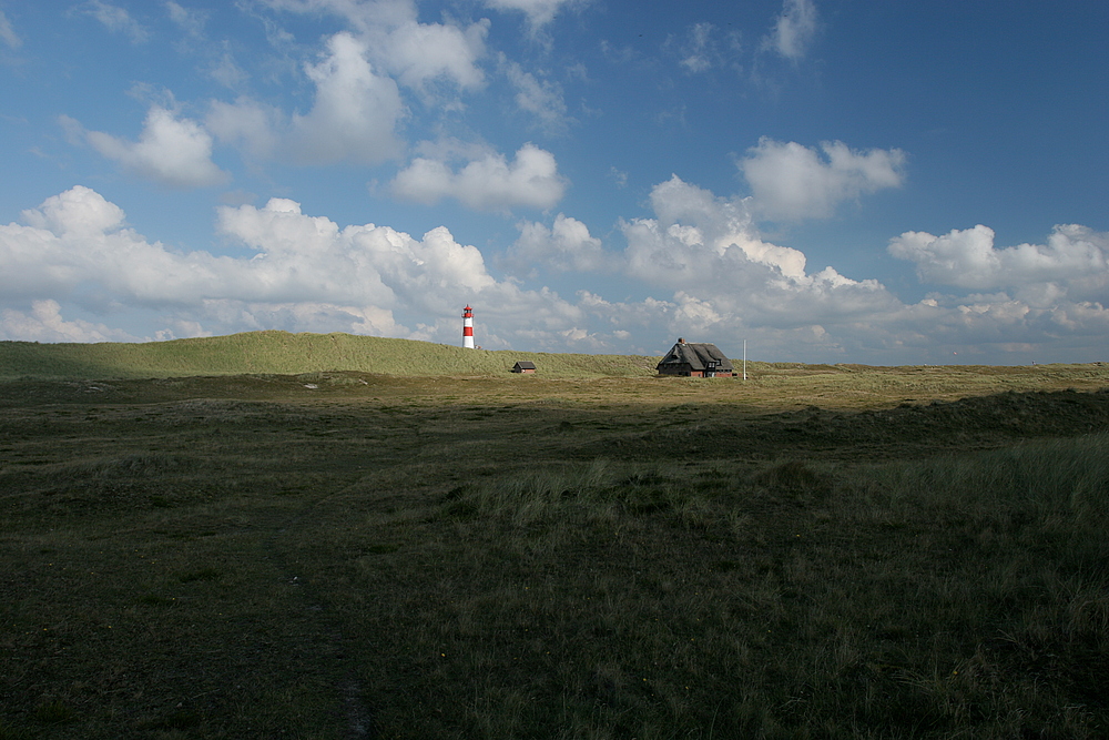 am Ellenbogen