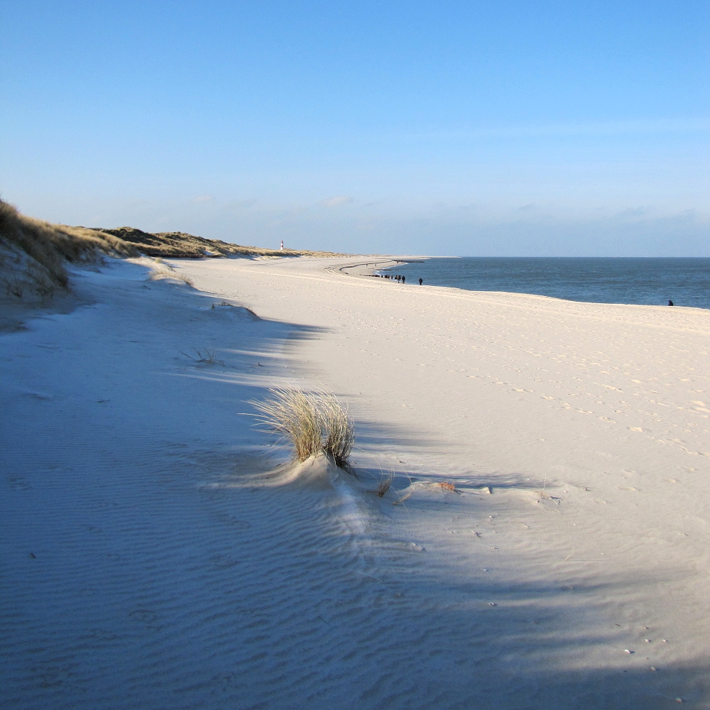 am Ellenbogen von Sylt