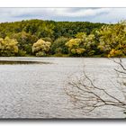 Am Ellernbruchsee