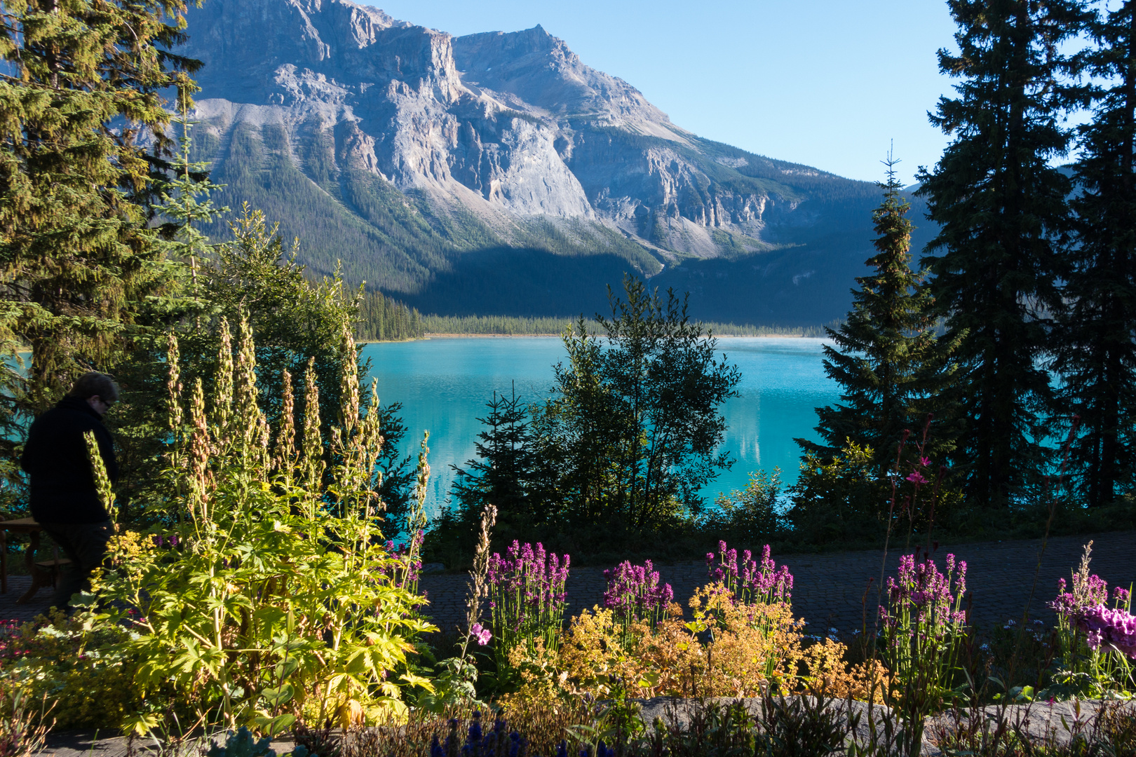 am Emerald Lake