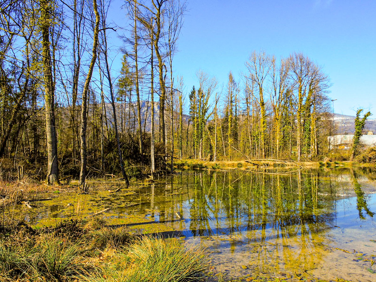 am Emmenkanal