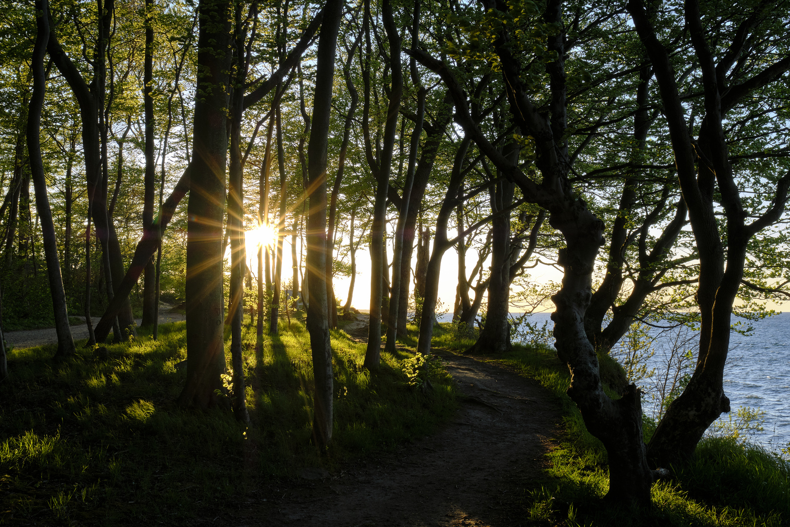 Am Ende das Licht