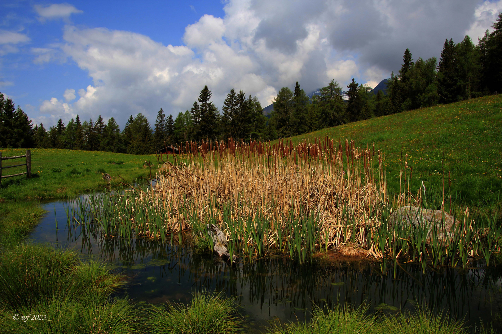 Am Ende der Baumgrenze