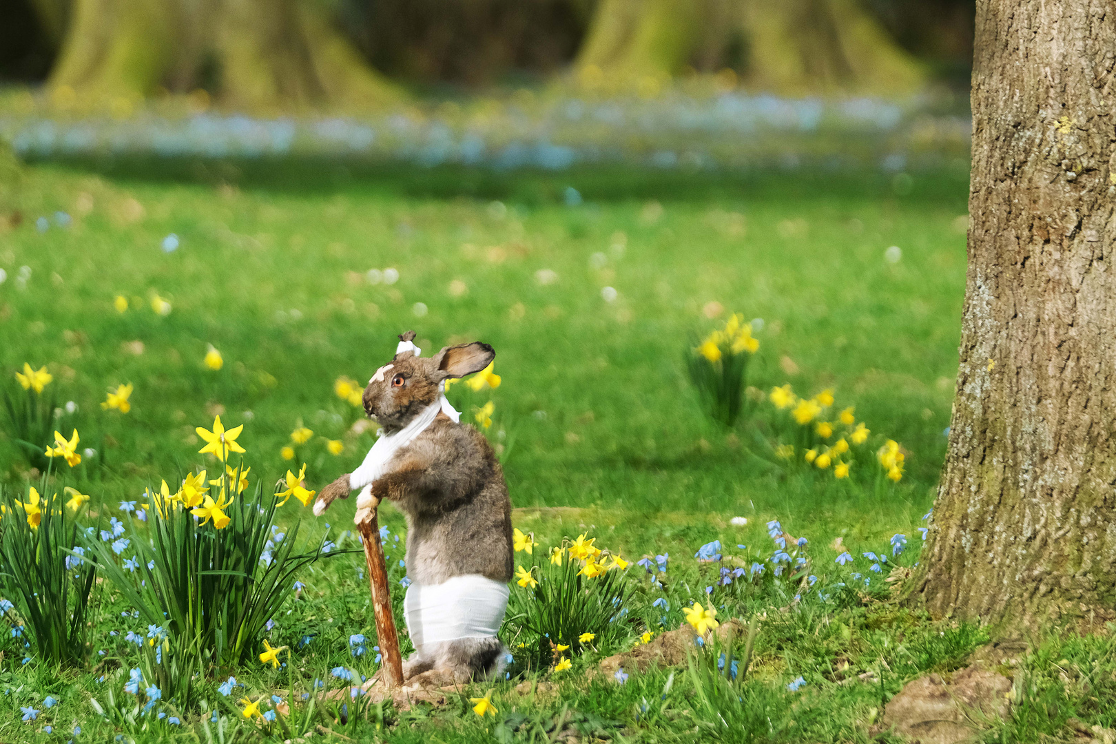 Am Ende der Jagdsaison