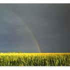 "am Ende der Regenbogen"