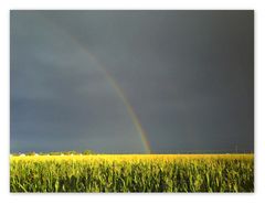 "am Ende der Regenbogen"