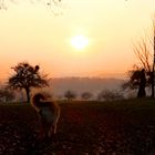 Am Ende der Reise, da wartet das Glück !