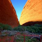 Am Ende der Schlucht von Kata Tjuta (Australien)