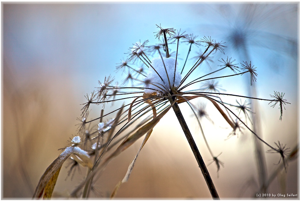 am Ende der Schneezeit