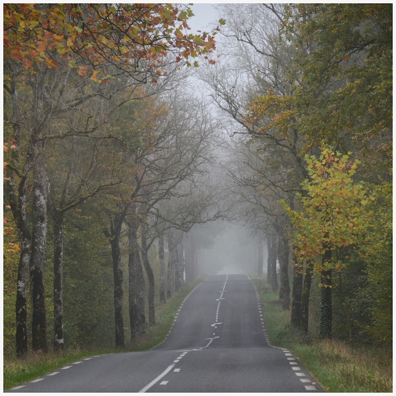 am ENDE der Straße...