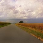 Am Ende der Straße steht ein Baum im Feld