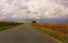 Am Ende der Straße steht ein Baum im Feld