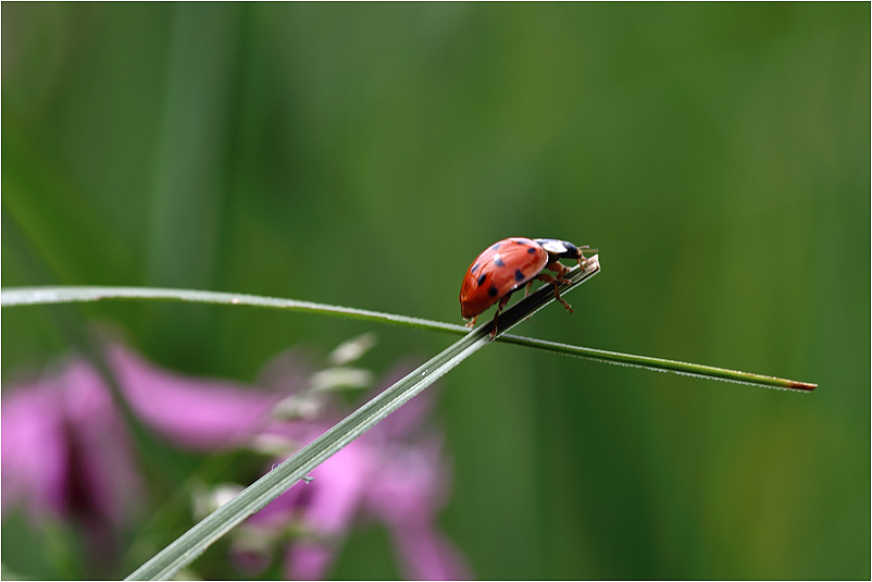 am Ende der Wegstrecke.........