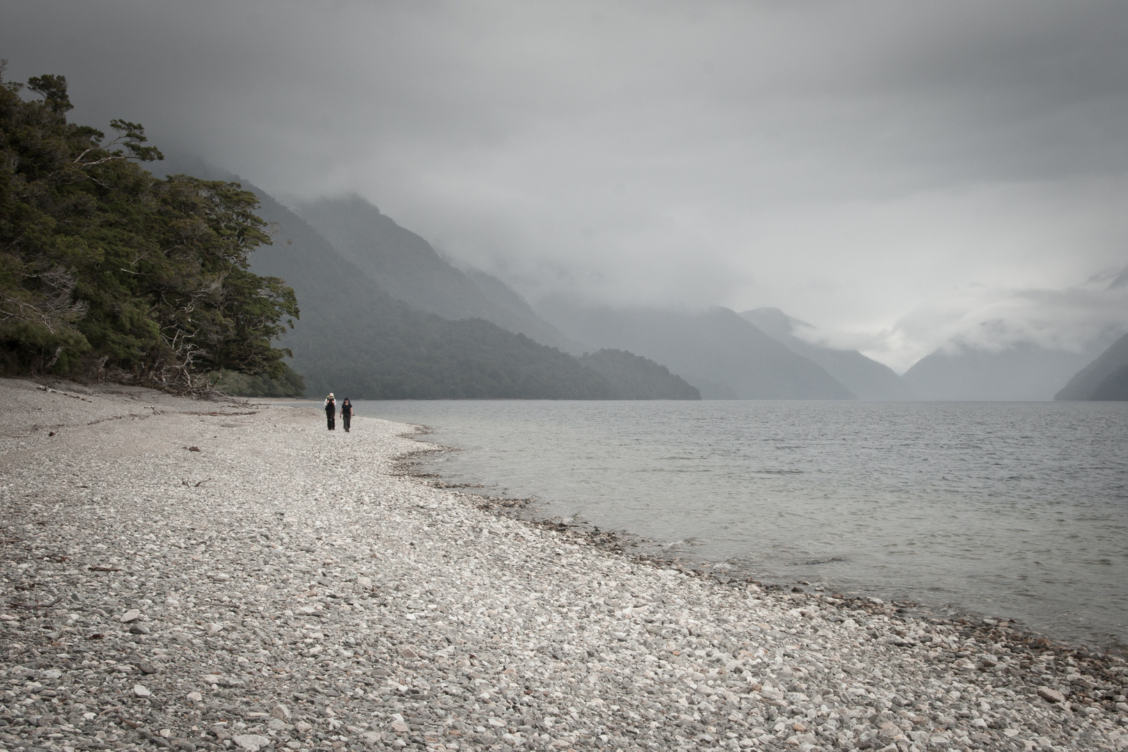 Am Ende des Hollyford Tracks