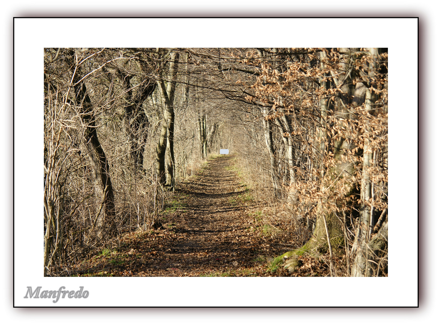 Am Ende des Pfades..........