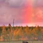 Am Ende des Regenbogens