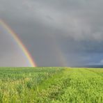 Am Ende des Regenbogens