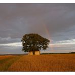 Am Ende des Regenbogens