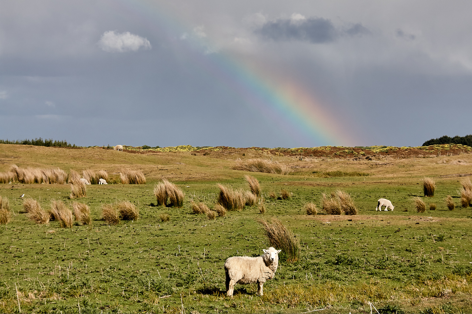 Am Ende des Regenbogens