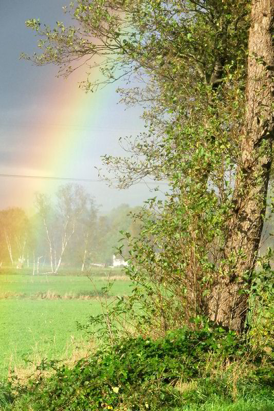 Am Ende des Regenbogens