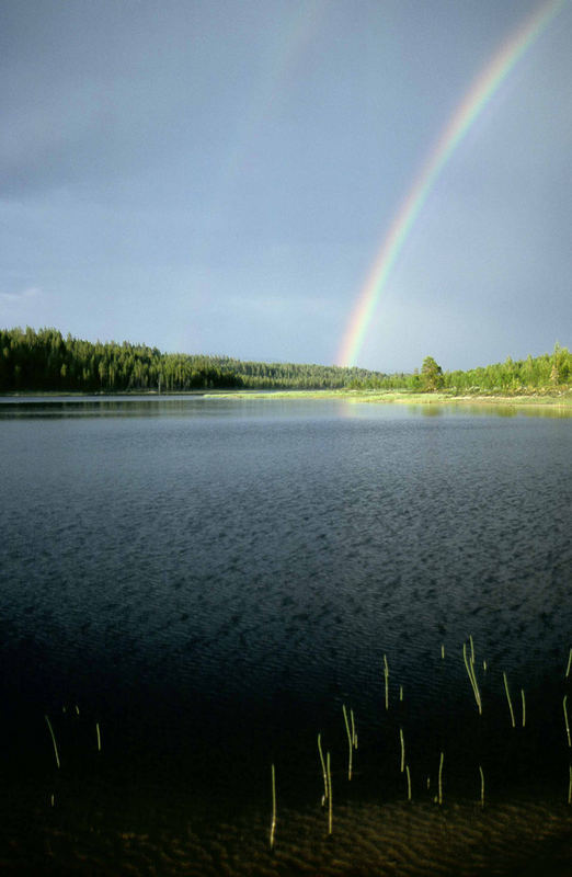 ...am Ende des Regenbogens...