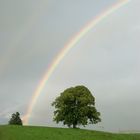 Am Ende des Regenbogens