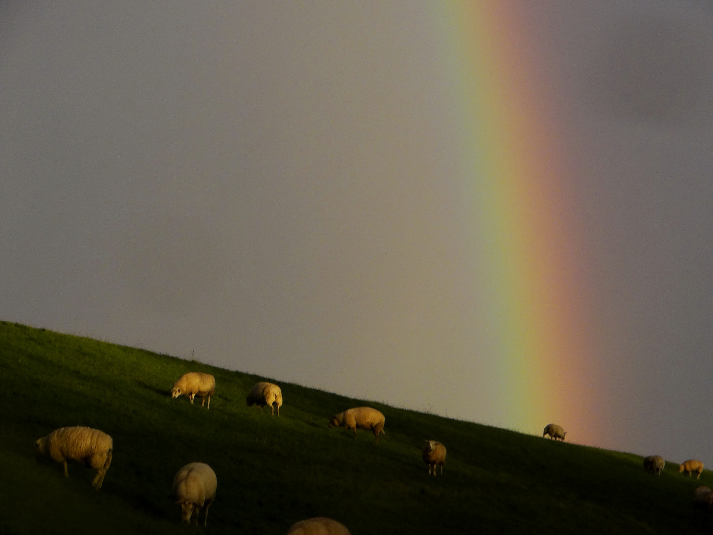 Am Ende des Regenbogens