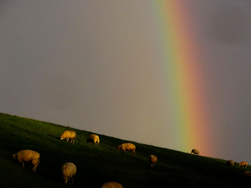 Am Ende des Regenbogens