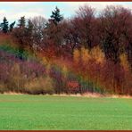 Am Ende des Regenbogens