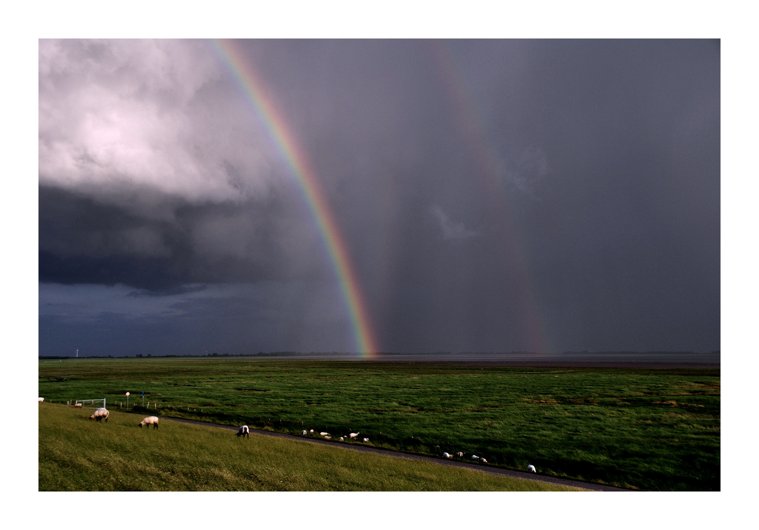 Am Ende des Regenbogen`s