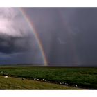 Am Ende des Regenbogen`s