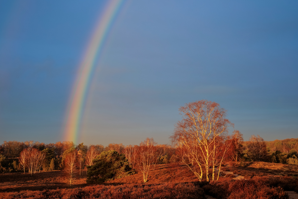 am Ende des Regenbogens Foto & Bild deutschland, europe, nordrhein westfalen Bilder auf