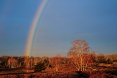 am Ende des Regenbogens