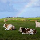 Am Ende des Regenbogens