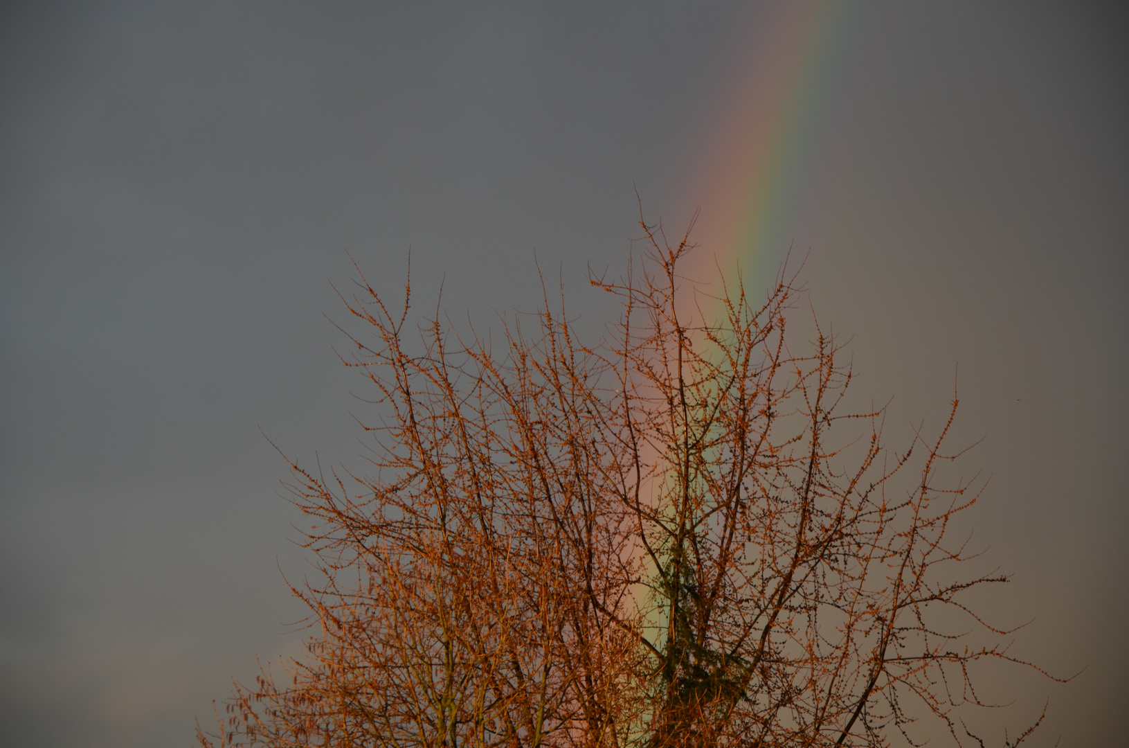 Am Ende des Regenbogens