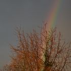 Am Ende des Regenbogens