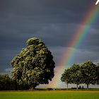 Am Ende des Regenbogens