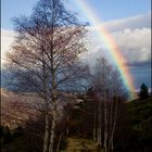 Am Ende des Regenbogens