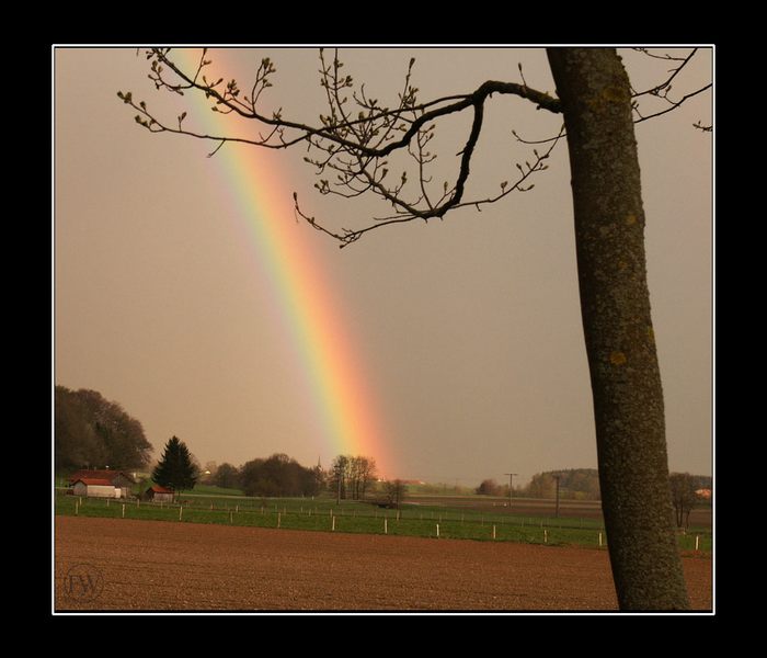 Am Ende des Regenbogens findest Du einen Schatz ...