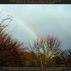 Am Ende des Regenbogens liegt ein Schatz vergraben. Lasst uns ihn 2014 heben!