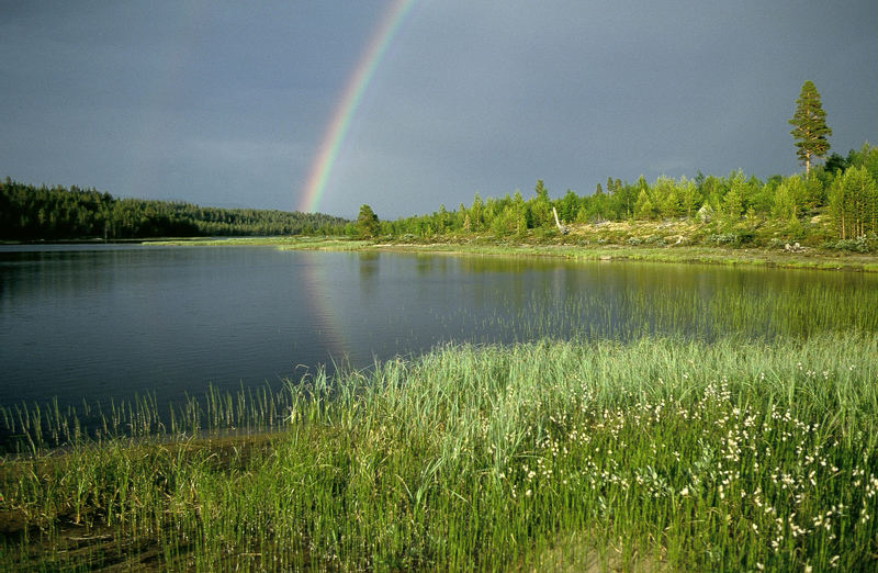 ...am Ende des Regenbogens.2..