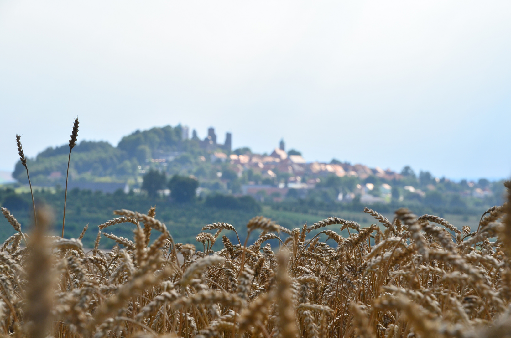 am Ende des Sommers...