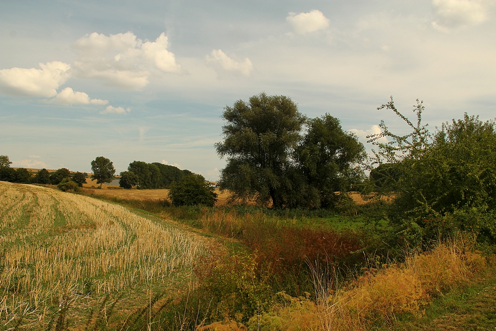 Am Ende des Sommers ...