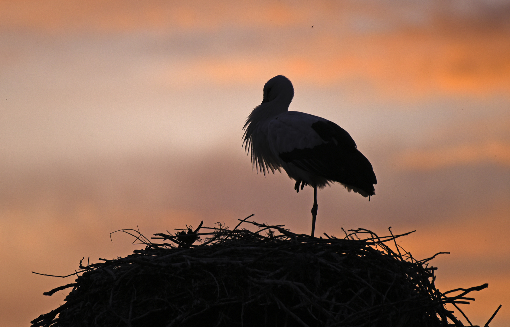 Am Ende des Tages